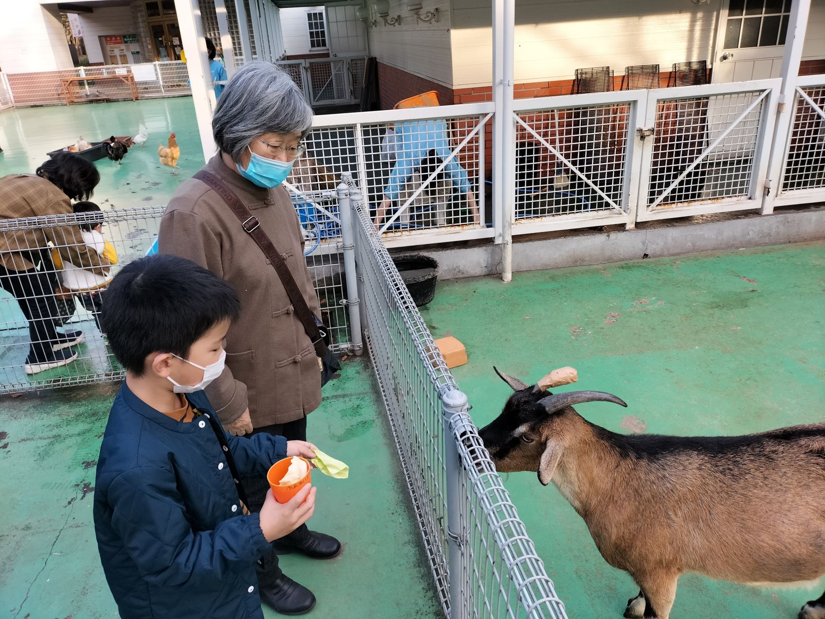 平塚のふれあい動物園へ | 藤沢市大庭の地域密着型介護福祉 ぐるんとびー